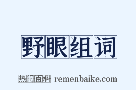 野眼组词是什么意思的图片